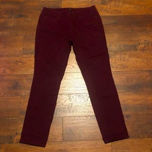 Ann Taylor Maroon Pants 12 Curvy Skinny Leg Vicose